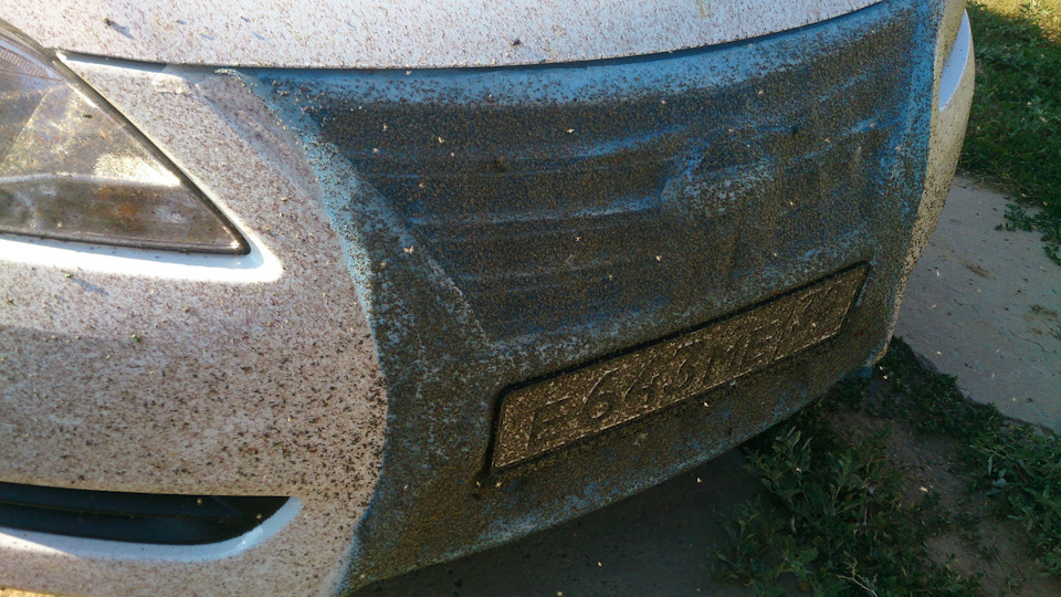 грязь на кузове авто